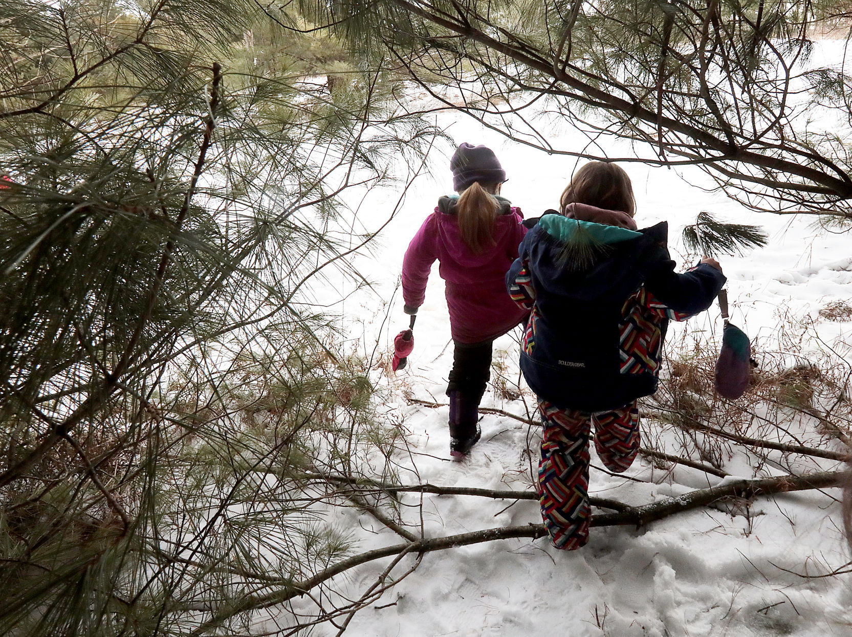 Forest School 04-01142022203609